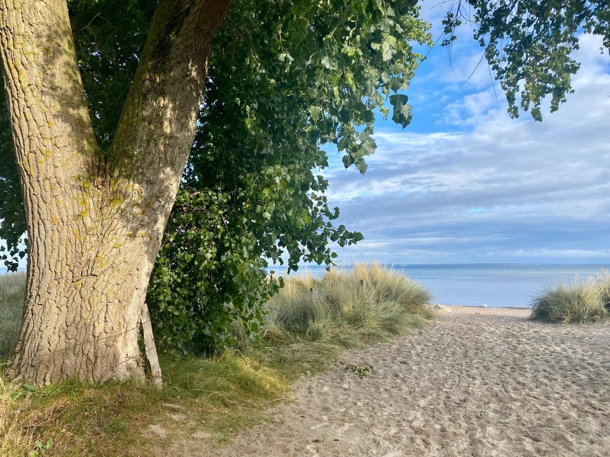 Feriendorf Suedstrand Haus 09 Pelzerhaken Bagian luar foto